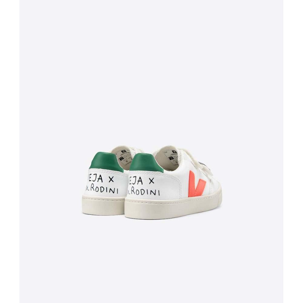 Kids' Veja V-12 CWL MINI-RODINI RABBIT Shoes White | ZA 807SGL